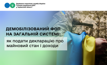 Демобілізований ФОП на загальній системі: як подати декларацію про майновий стан і доходи
