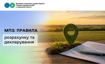 МПЗ: правила розрахунку та декларування